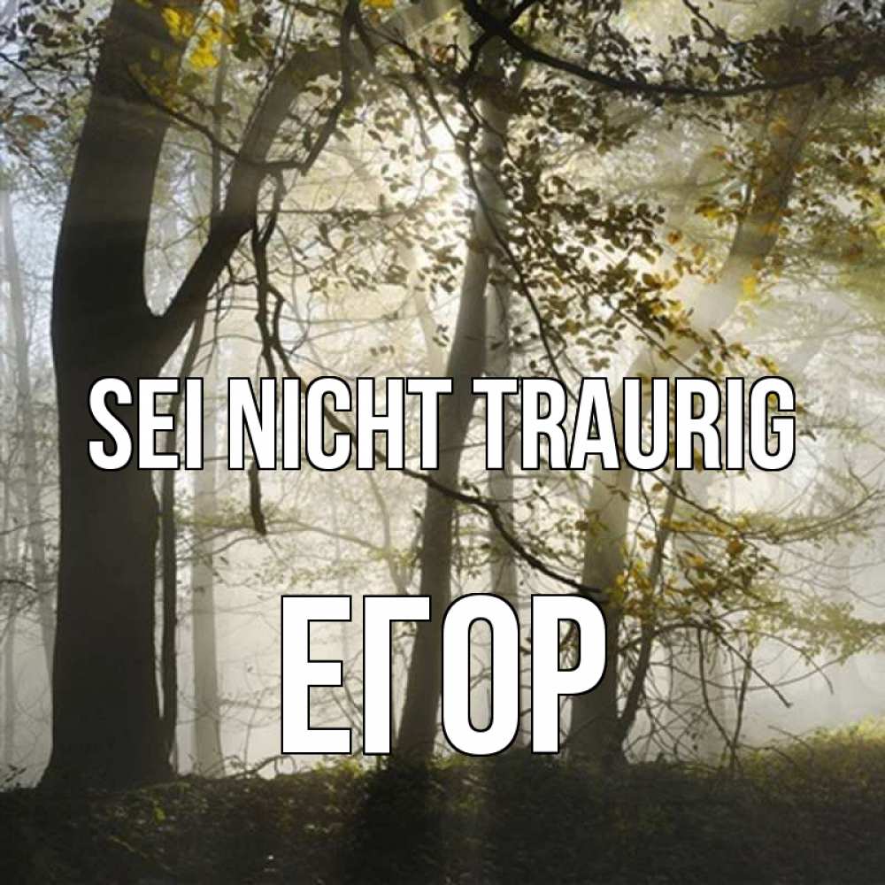 Открытка на каждый день с именем, Егор Sei nicht traurig лес и свет Прикольная открытка с пожеланием онлайн скачать бесплатно 