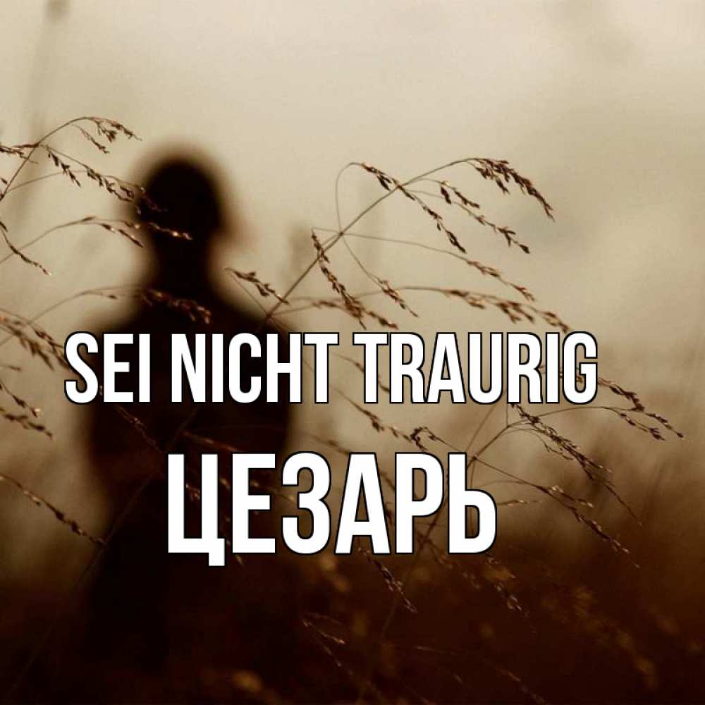 Открытка на каждый день с именем, Цезарь Sei nicht traurig грусть Прикольная открытка с пожеланием онлайн скачать бесплатно 
