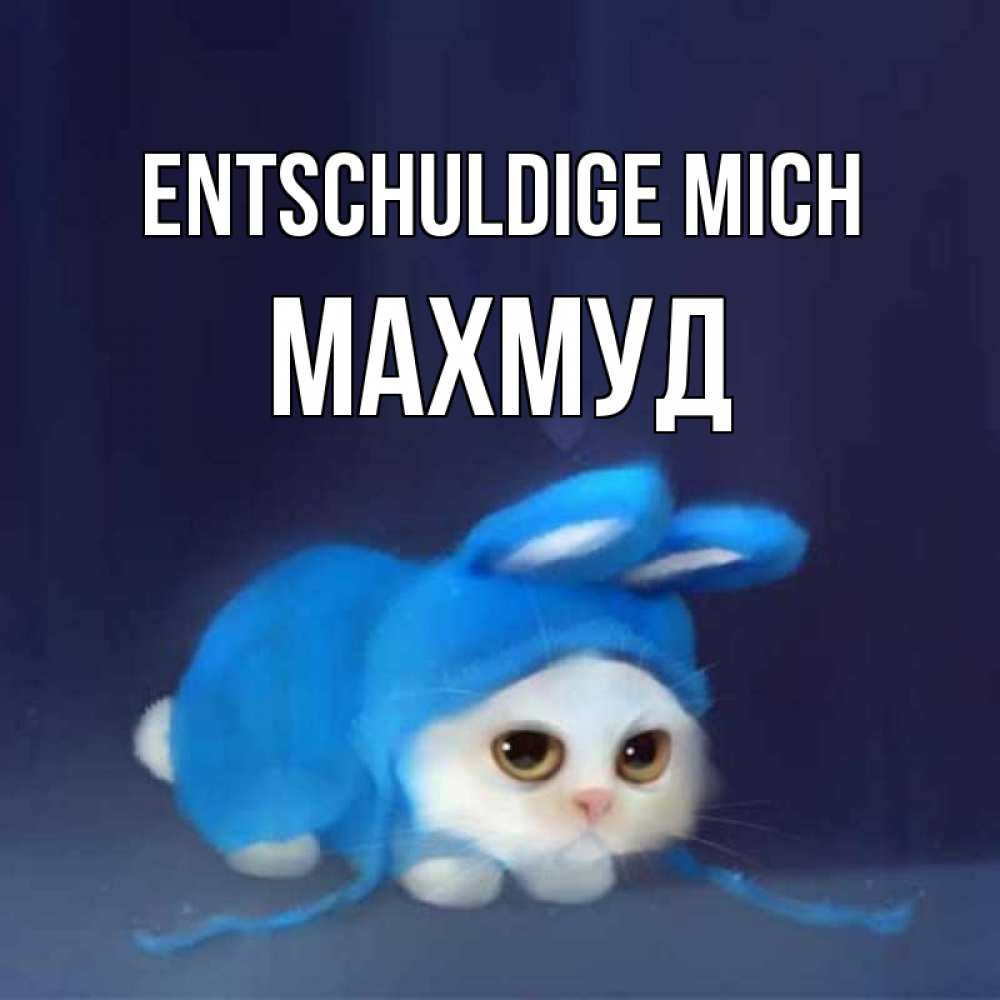 Открытка на каждый день с именем, Махмуд Entschuldige mich невинный котозай просит прощения Прикольная открытка с пожеланием онлайн скачать бесплатно 
