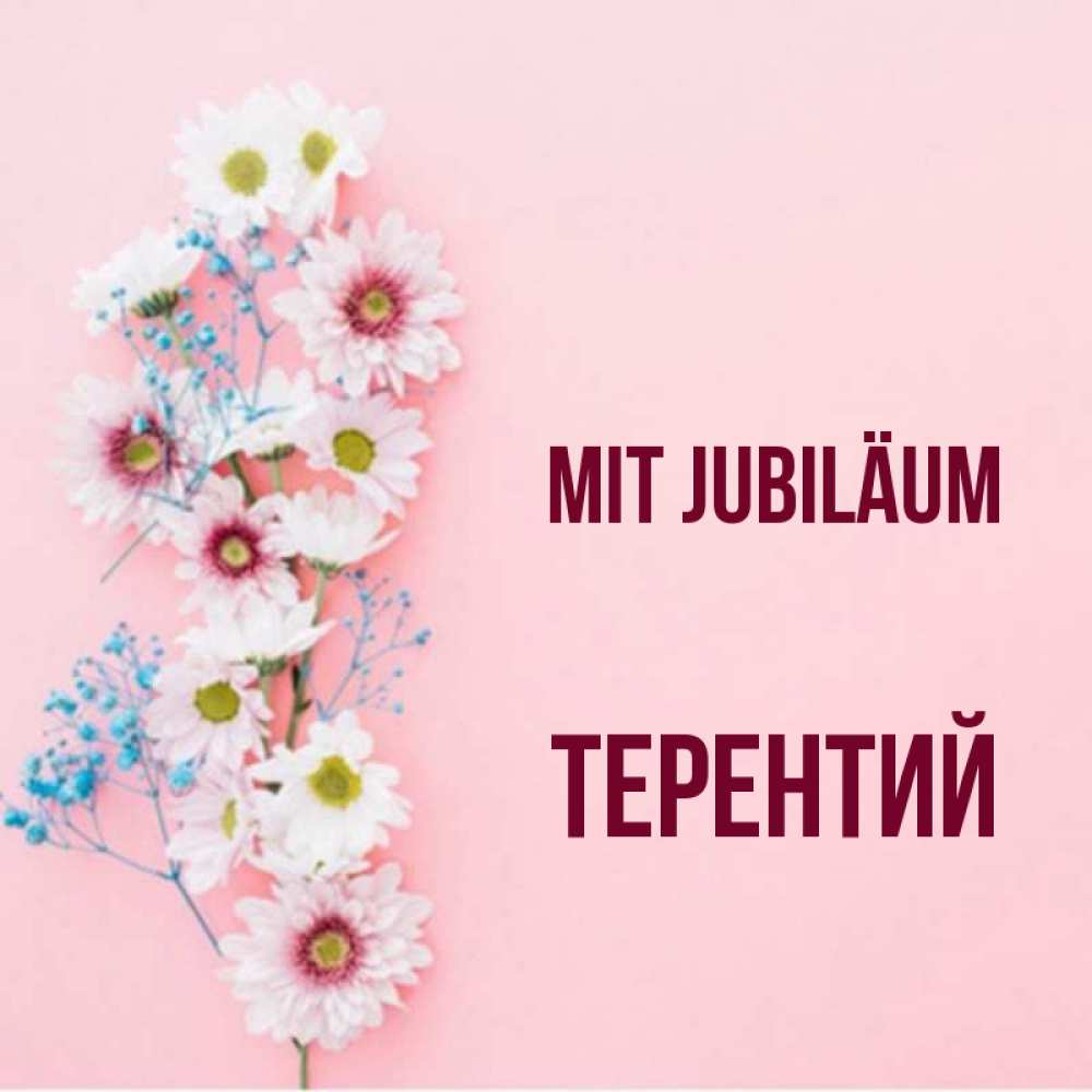 Открытка на каждый день с именем, Терентий Mit Jubiläum Родная моя с днем рождения тебя картинка с цветами белыми и голубыми Прикольная открытка с пожеланием онлайн скачать бесплатно 