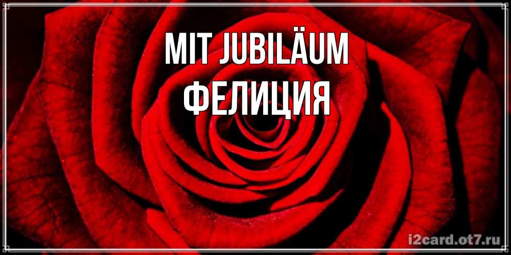 Открытка на каждый день с именем, Фелиция Mit Jubiläum алая роза Прикольная открытка с пожеланием онлайн скачать бесплатно 