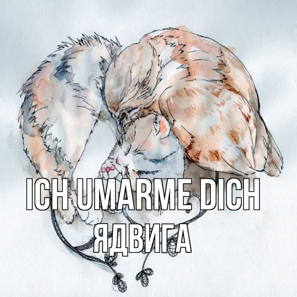 Открытка на каждый день с именем, Ядвига Ich umarme dich можно быть вместе даже когда очень разные Прикольная открытка с пожеланием онлайн скачать бесплатно 