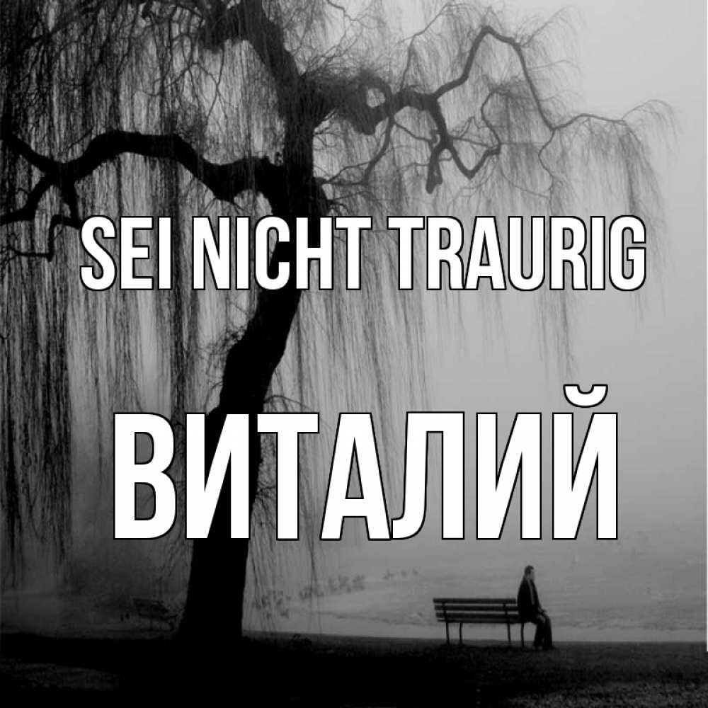Открытка на каждый день с именем, Виталий Sei nicht traurig висящие ветки дерева и лавочка под деревом Прикольная открытка с пожеланием онлайн скачать бесплатно 