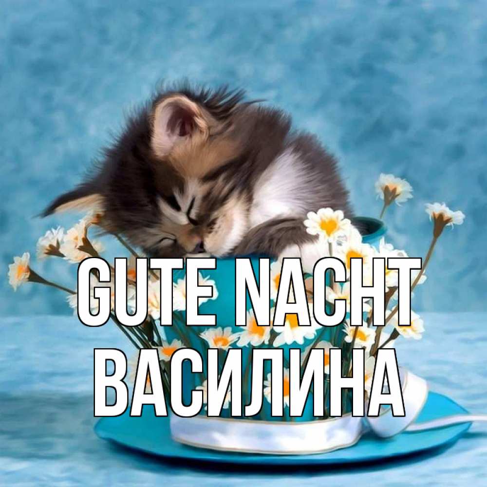Открытка на каждый день с именем, Василина Gute Nacht котенок спит в кружке с блюдцем Прикольная открытка с пожеланием онлайн скачать бесплатно 