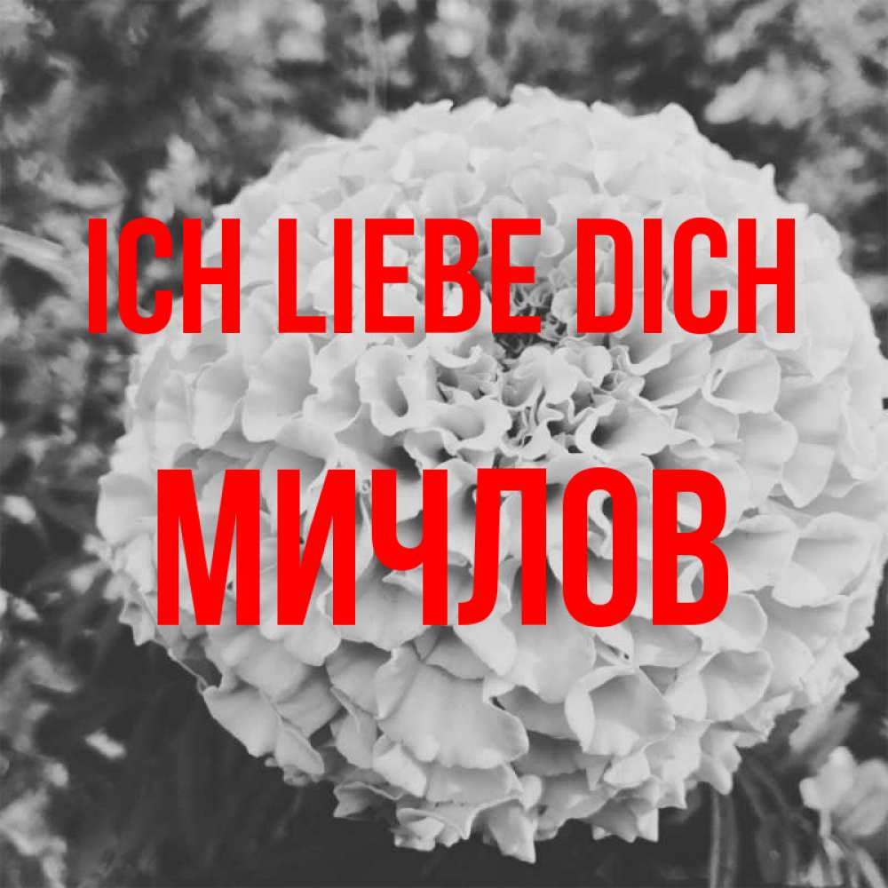 Открытка на каждый день с именем, Мичлов Ich liebe dich подпись Прикольная открытка с пожеланием онлайн скачать бесплатно 