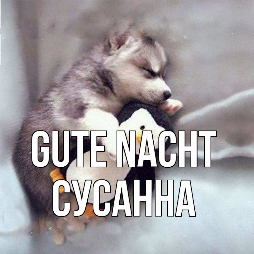 Открытка на каждый день с именем, Сусанна Gute Nacht обнимашки щенка и пингвина Прикольная открытка с пожеланием онлайн скачать бесплатно 