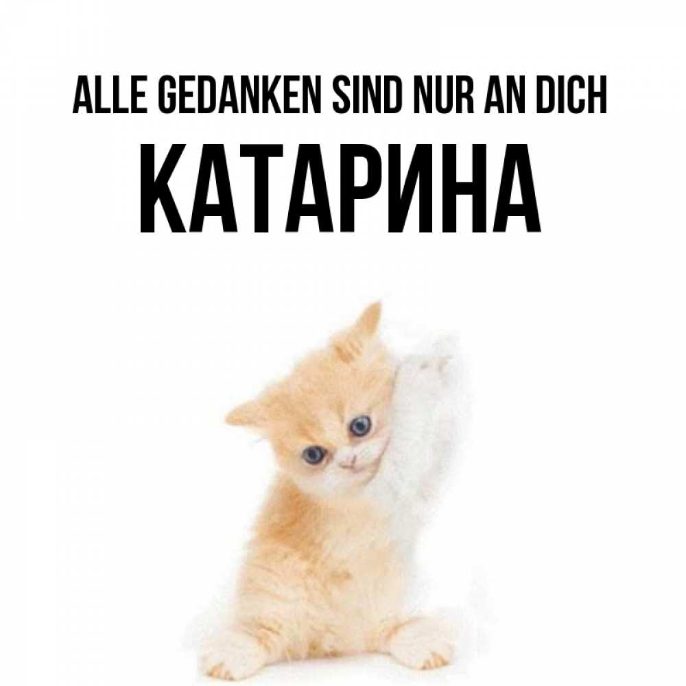 Открытка на каждый день с именем, Катарина Alle Gedanken sind nur an dich зверушки и милота Прикольная открытка с пожеланием онлайн скачать бесплатно 