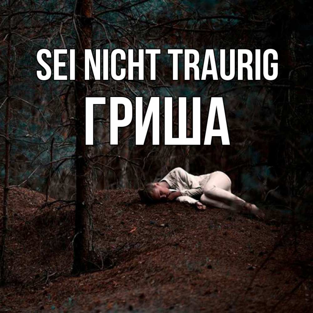Открытка на каждый день с именем, Гриша Sei nicht traurig лес Прикольная открытка с пожеланием онлайн скачать бесплатно 