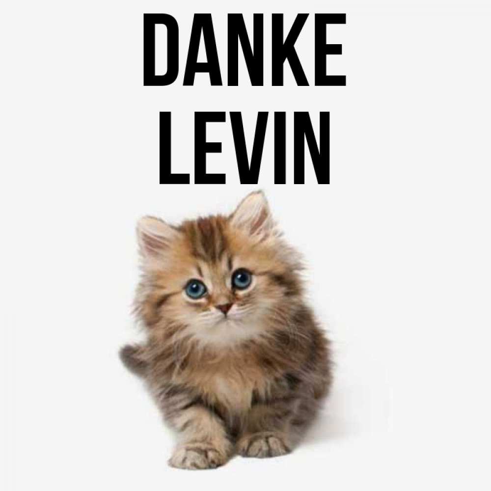 Открытка на каждый день с именем, Levin Danke пушистый котик Прикольная открытка с пожеланием онлайн скачать бесплатно 