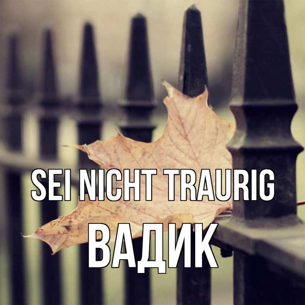 Открытка на каждый день с именем, Вадик Sei nicht traurig лист клена Прикольная открытка с пожеланием онлайн скачать бесплатно 