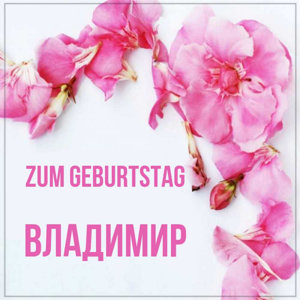 Картинка Zum Geburtstag, Владимир