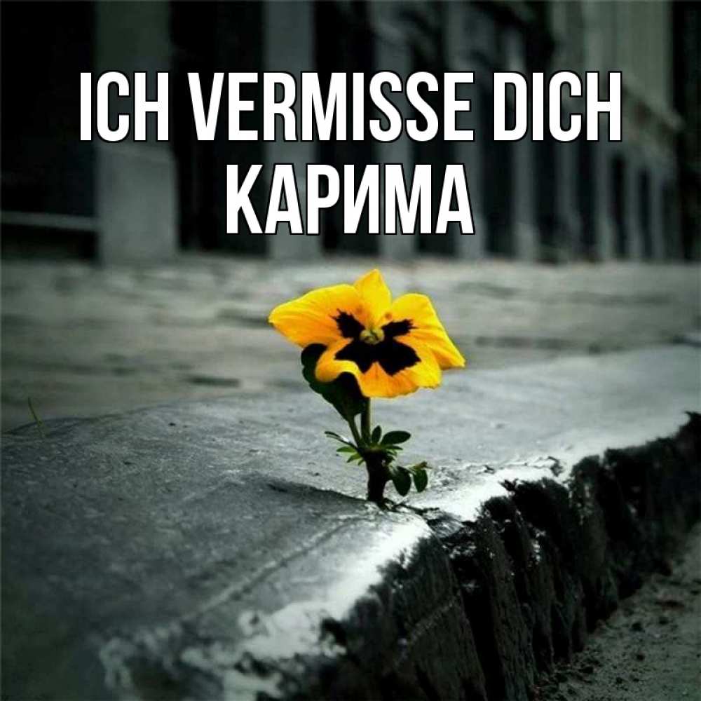 Открытка на каждый день с именем, Карима Ich vermisse dich надеюсь будет лучше Прикольная открытка с пожеланием онлайн скачать бесплатно 