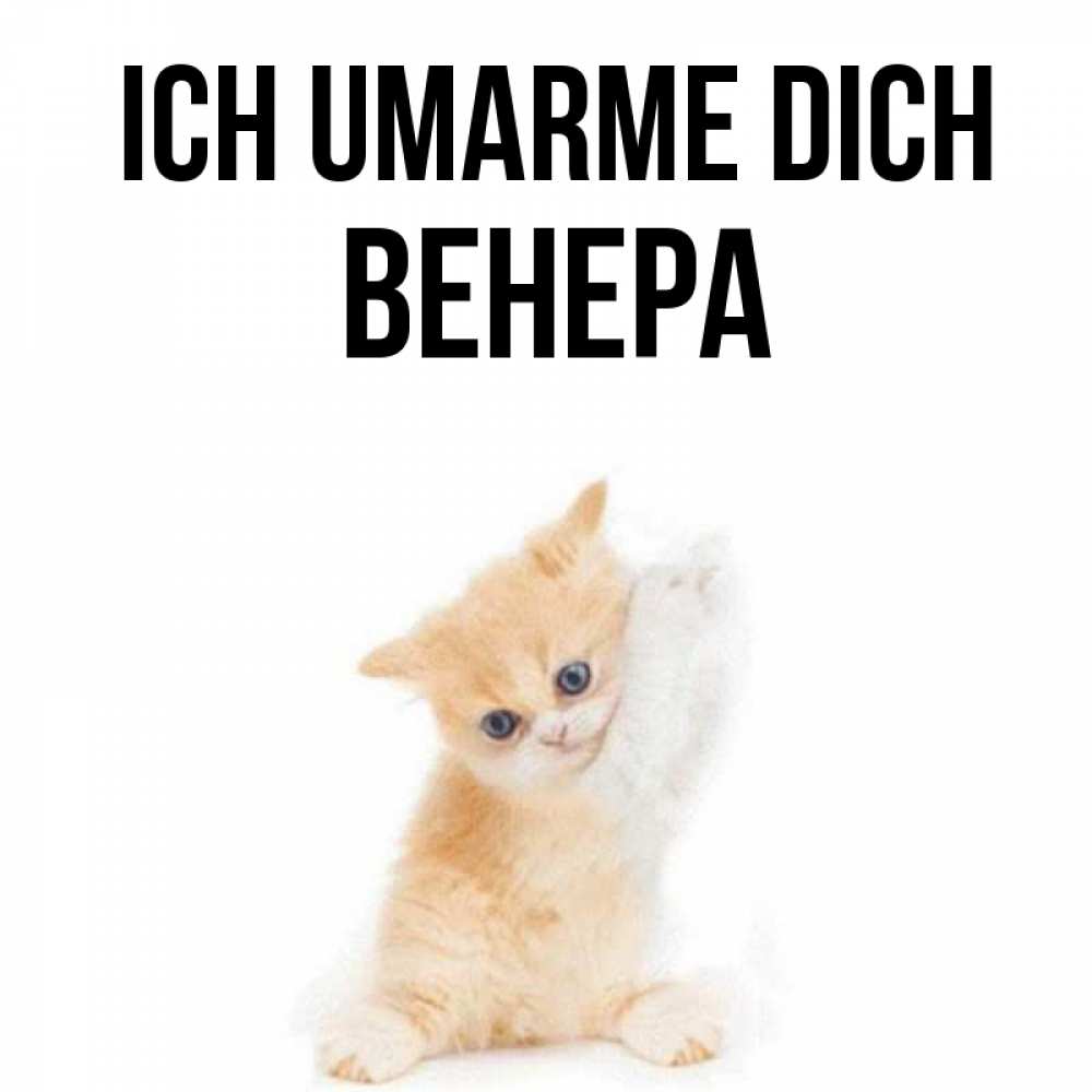 Открытка на каждый день с именем, Венера Ich umarme dich я хочу очень скорее обнимаешек Прикольная открытка с пожеланием онлайн скачать бесплатно 