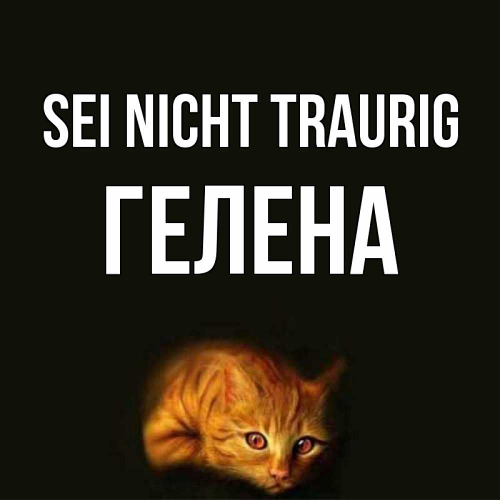 Открытка на каждый день с именем, Гелена Sei nicht traurig лежащий кот в темноте Прикольная открытка с пожеланием онлайн скачать бесплатно 