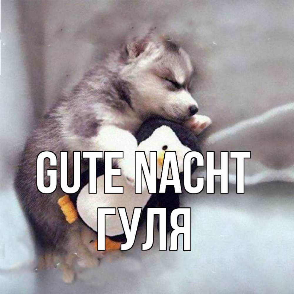 Открытка на каждый день с именем, Гуля Gute Nacht обнимашки щенка и пингвина Прикольная открытка с пожеланием онлайн скачать бесплатно 