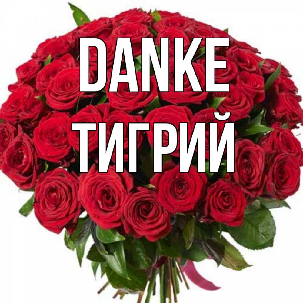 Открытка на каждый день с именем, Тигрий Danke букет красных роз Прикольная открытка с пожеланием онлайн скачать бесплатно 