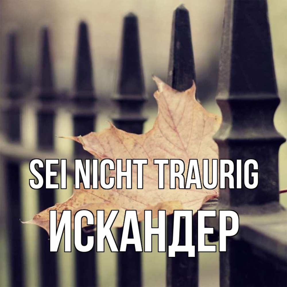 Открытка на каждый день с именем, Искандер Sei nicht traurig лист клена Прикольная открытка с пожеланием онлайн скачать бесплатно 