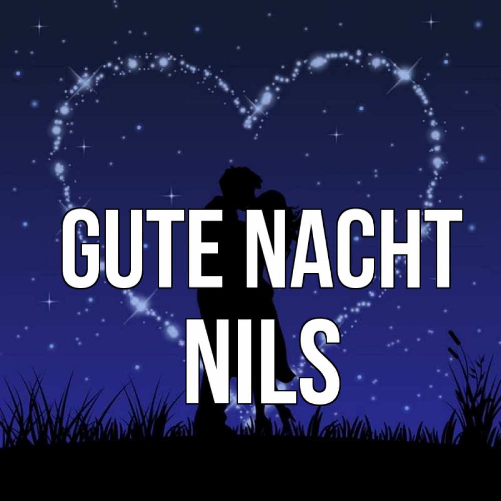 Открытка на каждый день с именем, Nils Gute Nacht сладких снов Прикольная открытка с пожеланием онлайн скачать бесплатно 