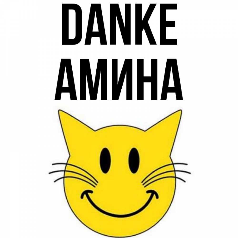Открытка на каждый день с именем, Амина Danke улыбающийся смайл кот Прикольная открытка с пожеланием онлайн скачать бесплатно 