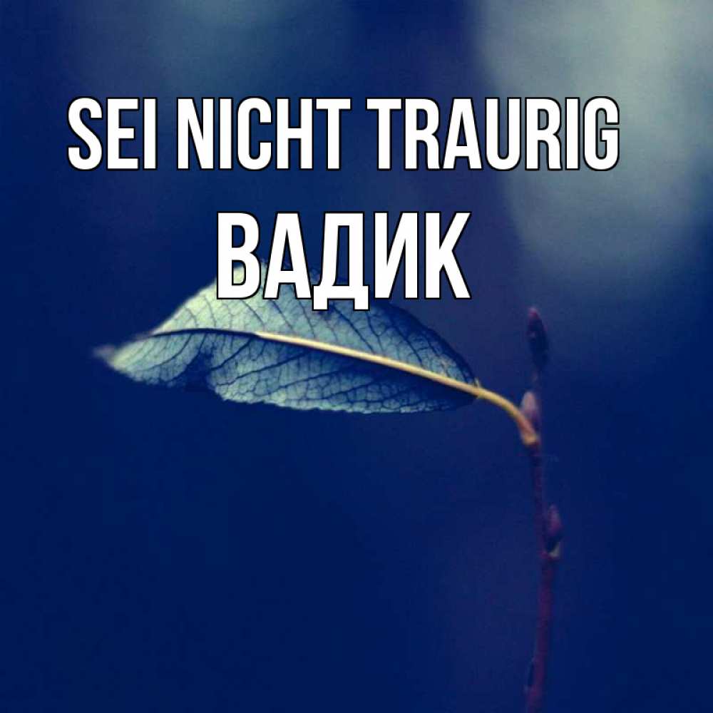 Открытка на каждый день с именем, Вадик Sei nicht traurig растение Прикольная открытка с пожеланием онлайн скачать бесплатно 