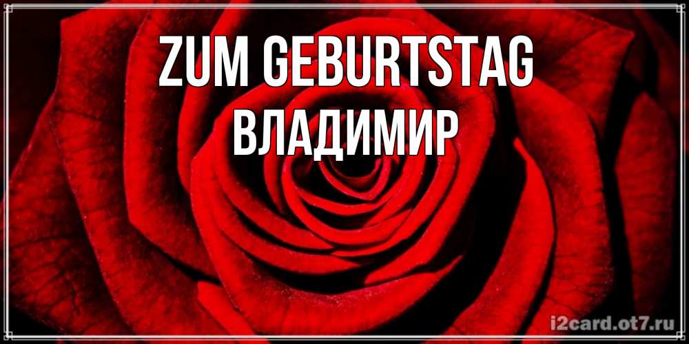 Открытка на каждый день с именем, Владимир Zum Geburtstag алая роза Прикольная открытка с пожеланием онлайн скачать бесплатно 