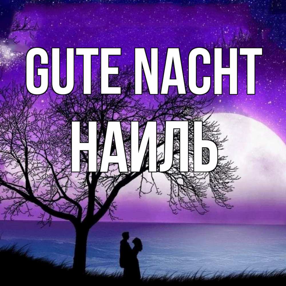 Открытка на каждый день с именем, Наиль Gute Nacht огромная луна и парочка Прикольная открытка с пожеланием онлайн скачать бесплатно 