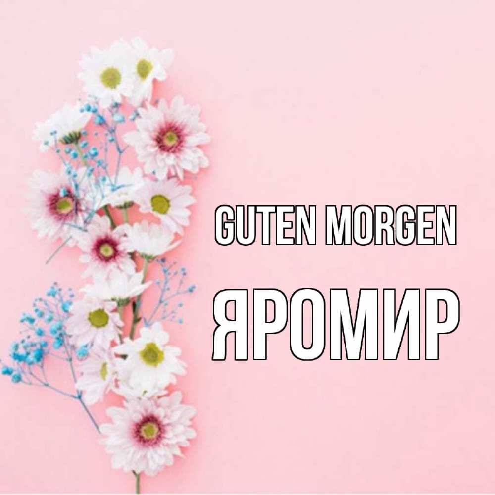 Открытка на каждый день с именем, Яромир Guten Morgen цветы с подписью Прикольная открытка с пожеланием онлайн скачать бесплатно 