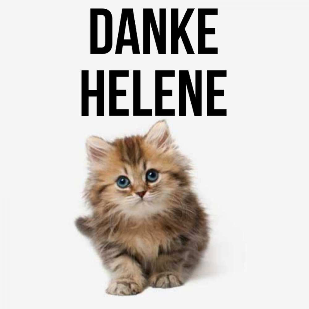 Открытка на каждый день с именем, Helene Danke пушистый котик Прикольная открытка с пожеланием онлайн скачать бесплатно 
