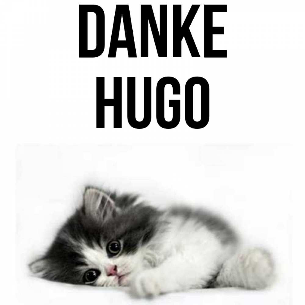 Открытка на каждый день с именем, Hugo Danke черный и белый кот Прикольная открытка с пожеланием онлайн скачать бесплатно 