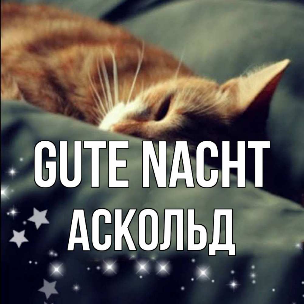 Открытка на каждый день с именем, Аскольд Gute Nacht кроватка Прикольная открытка с пожеланием онлайн скачать бесплатно 