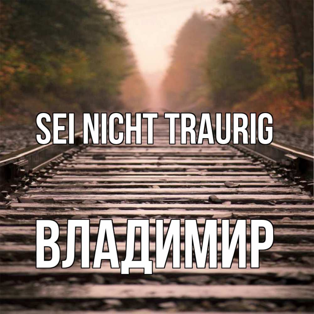 Открытка на каждый день с именем, Владимир Sei nicht traurig лес и железная дорога Прикольная открытка с пожеланием онлайн скачать бесплатно 