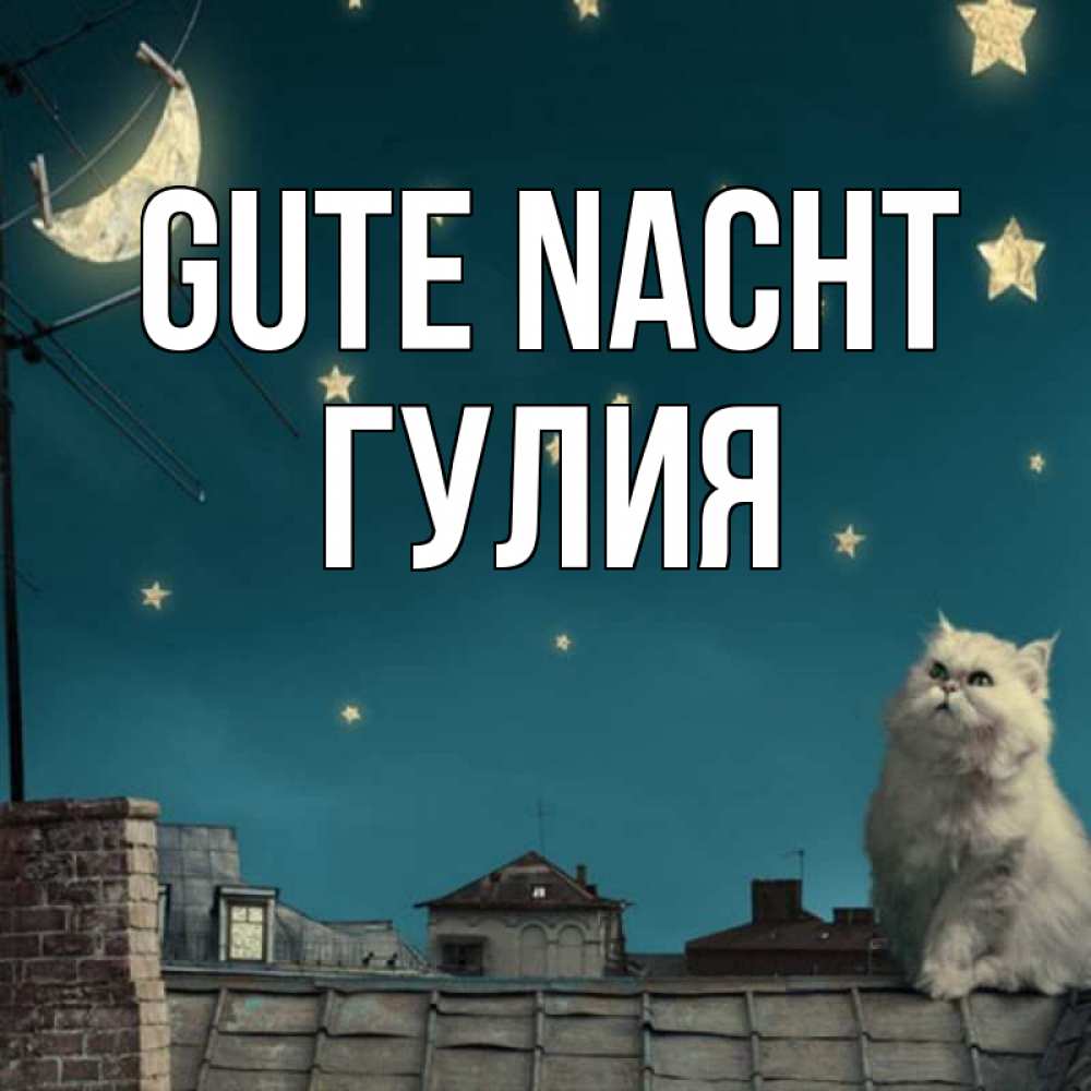 Открытка на каждый день с именем, Гулия Gute Nacht белый кот сидит на крыше Прикольная открытка с пожеланием онлайн скачать бесплатно 