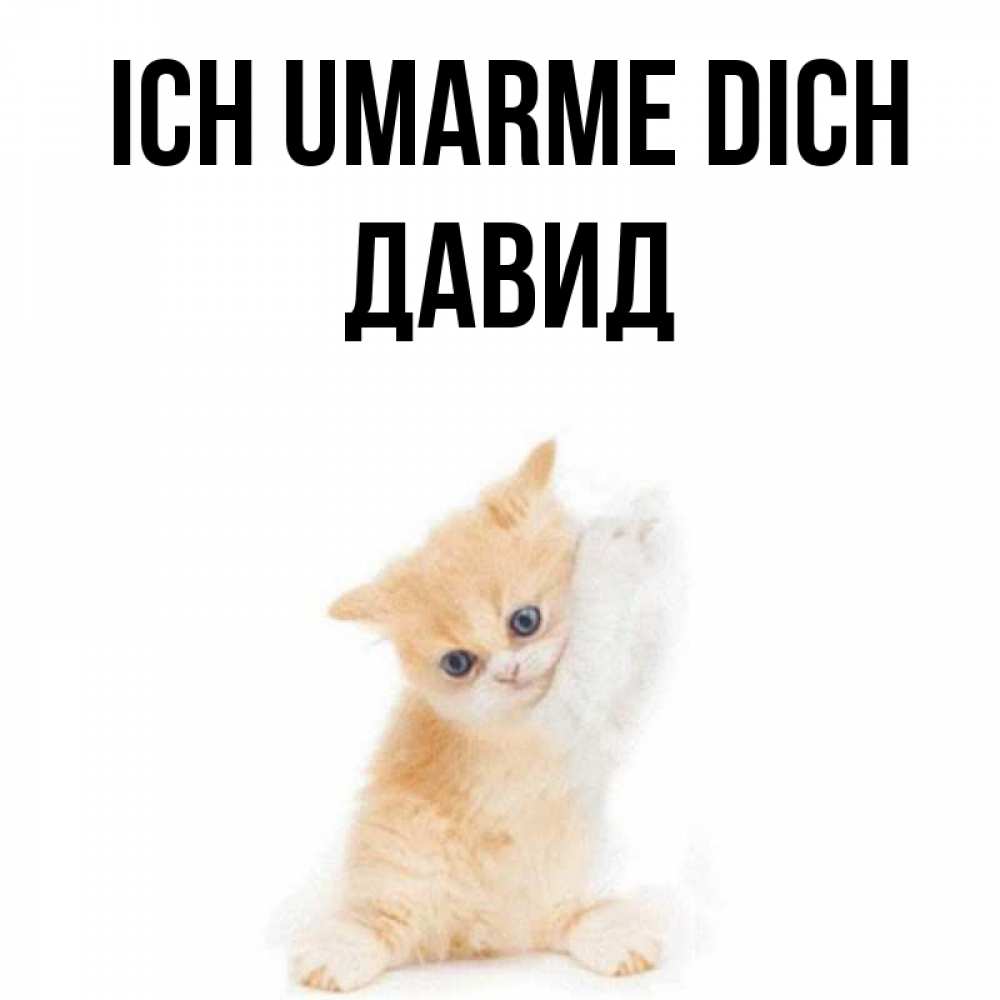 Открытка на каждый день с именем, Давид Ich umarme dich я хочу очень скорее обнимаешек Прикольная открытка с пожеланием онлайн скачать бесплатно 