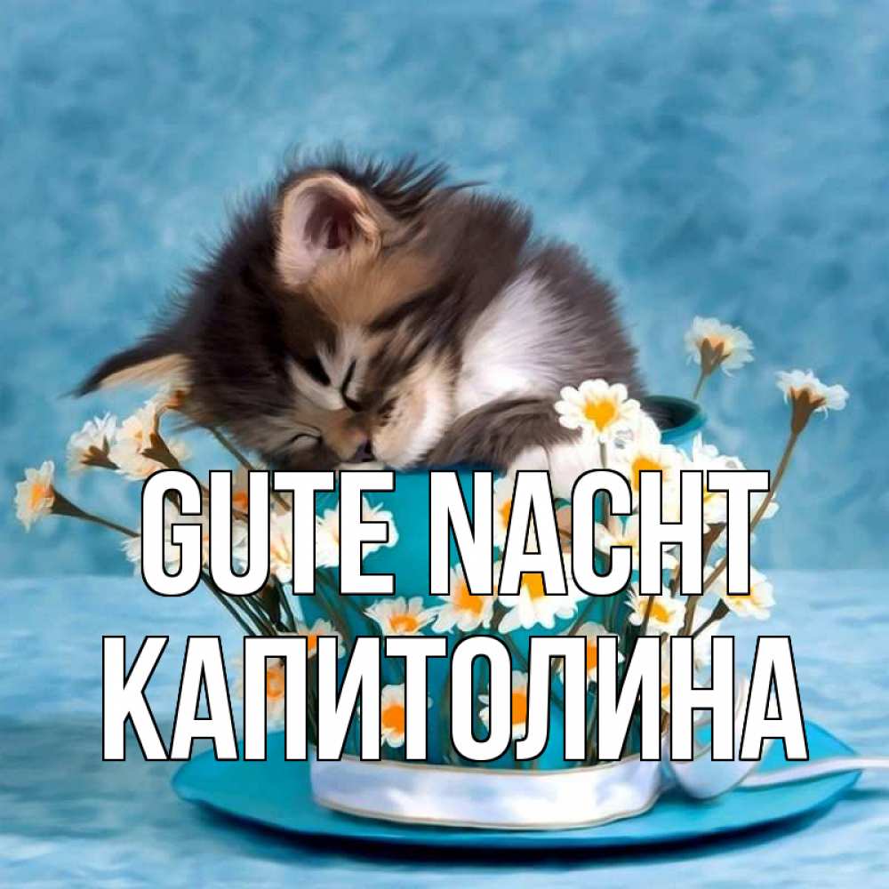 Открытка на каждый день с именем, Капитолина Gute Nacht котенок спит в кружке с блюдцем Прикольная открытка с пожеланием онлайн скачать бесплатно 