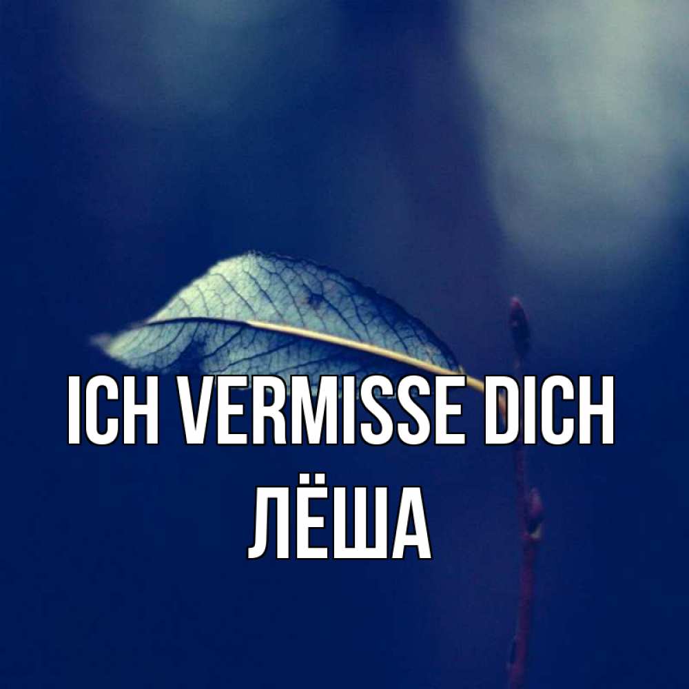 Открытка на каждый день с именем, Лёша Ich vermisse dich одна ветка 1 Прикольная открытка с пожеланием онлайн скачать бесплатно 