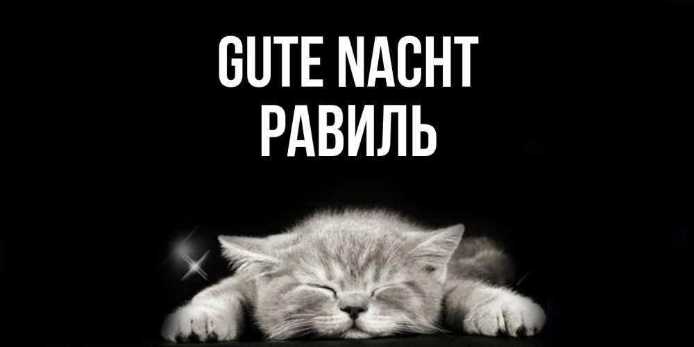 Открытка на каждый день с именем, Равиль Gute Nacht спящий котик Прикольная открытка с пожеланием онлайн скачать бесплатно 