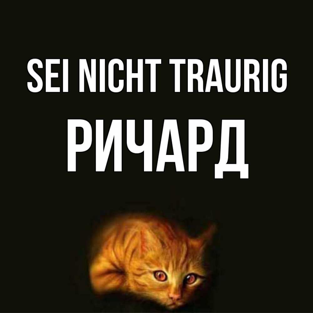 Открытка на каждый день с именем, Ричард Sei nicht traurig лежащий кот в темноте Прикольная открытка с пожеланием онлайн скачать бесплатно 