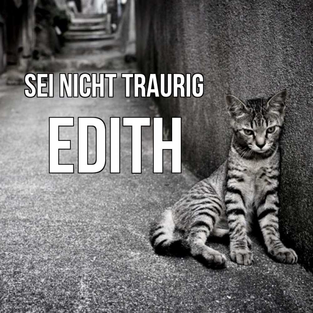 Открытка на каждый день с именем, Edith Sei nicht traurig скучающий котик Прикольная открытка с пожеланием онлайн скачать бесплатно 