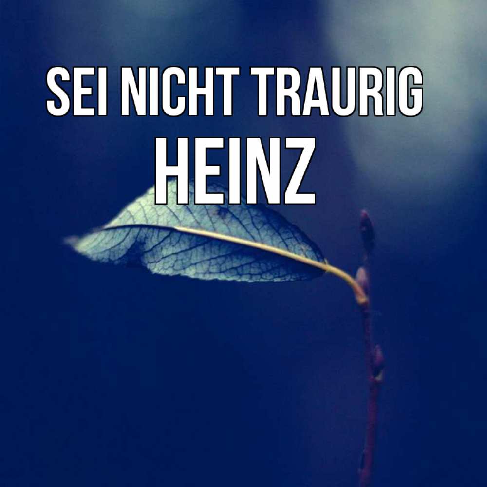 Открытка на каждый день с именем, Heinz Sei nicht traurig растение Прикольная открытка с пожеланием онлайн скачать бесплатно 