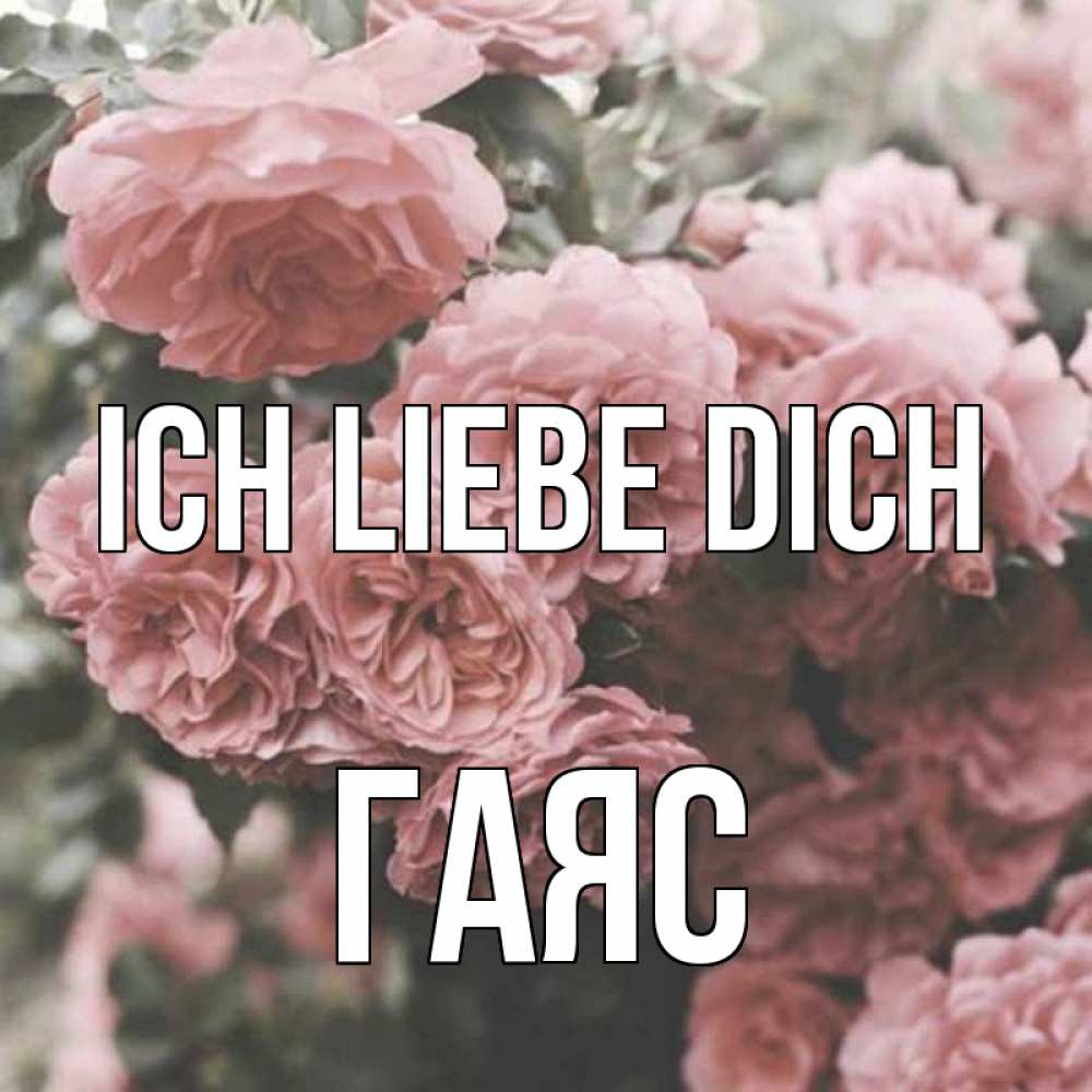 Открытка на каждый день с именем, Гаяс Ich liebe dich розы 3 Прикольная открытка с пожеланием онлайн скачать бесплатно 