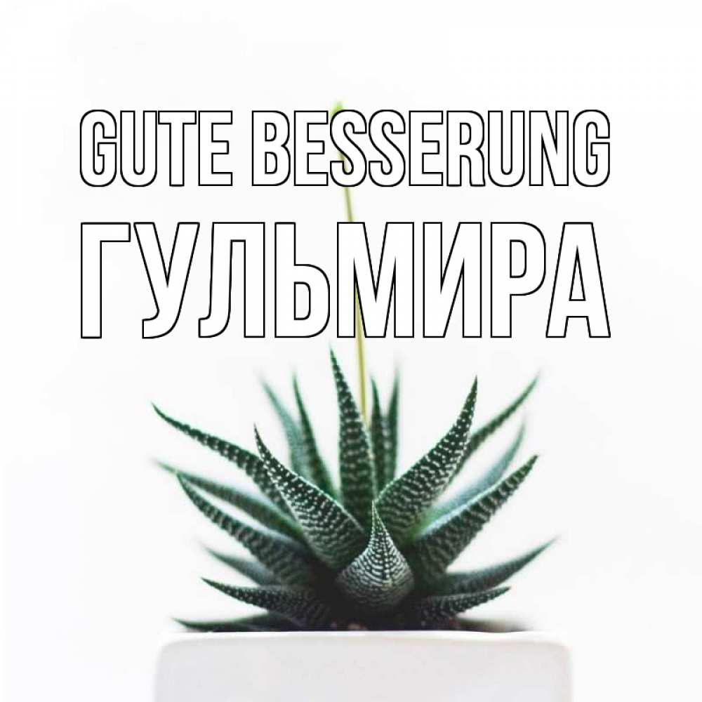 Открытка на каждый день с именем, Гульмира Gute Besserung короче это непонятная колючка Прикольная открытка с пожеланием онлайн скачать бесплатно 