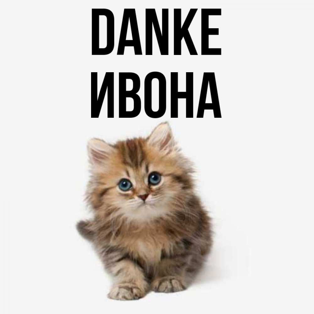 Открытка на каждый день с именем, Ивона Danke пушистый котик Прикольная открытка с пожеланием онлайн скачать бесплатно 