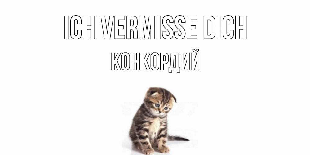 Открытка на каждый день с именем, Конкордий Ich vermisse dich кот Прикольная открытка с пожеланием онлайн скачать бесплатно 