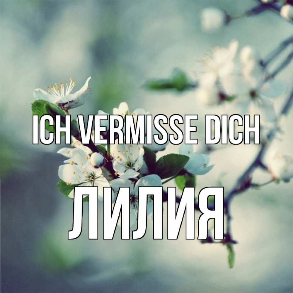 Открытка на каждый день с именем, Лилия Ich vermisse dich весна Прикольная открытка с пожеланием онлайн скачать бесплатно 