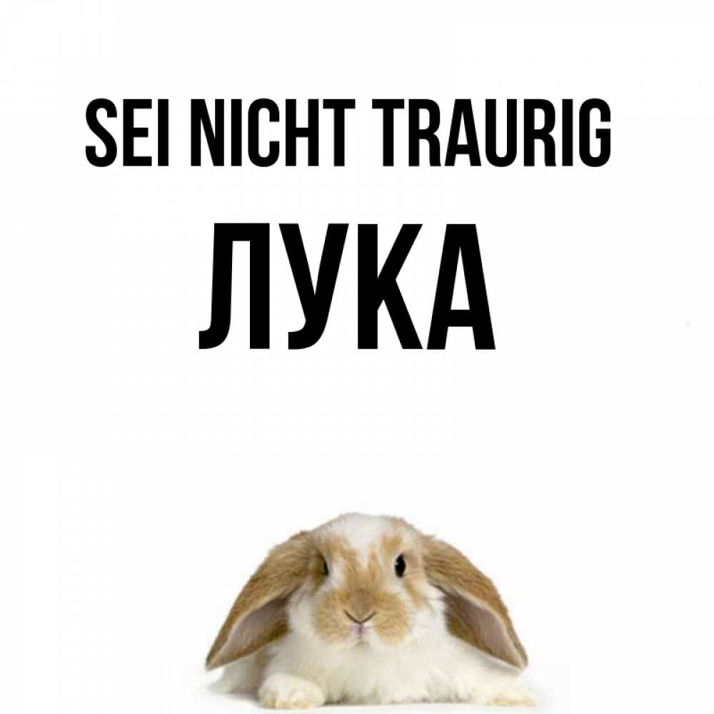 Открытка на каждый день с именем, Лука Sei nicht traurig коричнево белый заяц с большими ушками Прикольная открытка с пожеланием онлайн скачать бесплатно 