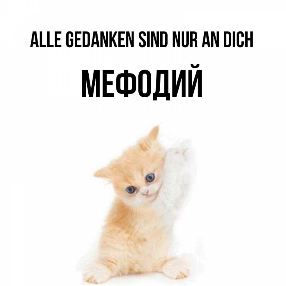Открытка на каждый день с именем, Мефодий Alle Gedanken sind nur an dich зверушки и милота Прикольная открытка с пожеланием онлайн скачать бесплатно 