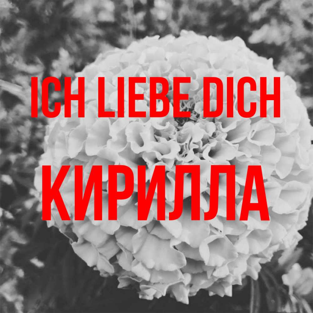 Открытка на каждый день с именем, Кирилла Ich liebe dich подпись Прикольная открытка с пожеланием онлайн скачать бесплатно 