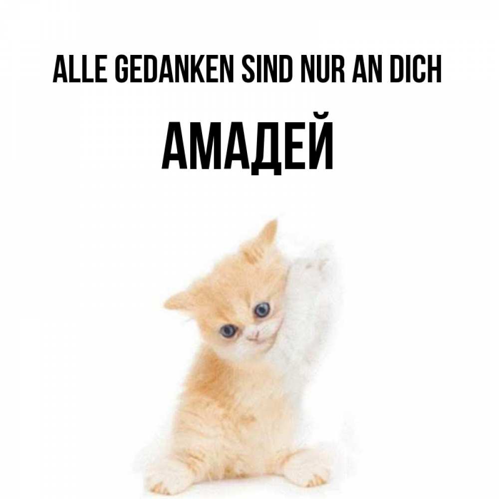 Открытка на каждый день с именем, Амадей Alle Gedanken sind nur an dich зверушки и милота Прикольная открытка с пожеланием онлайн скачать бесплатно 
