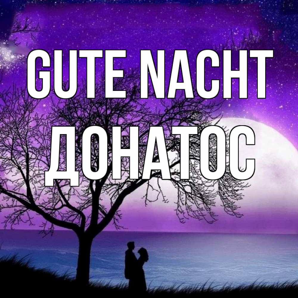 Открытка на каждый день с именем, Донатос Gute Nacht огромная луна и парочка Прикольная открытка с пожеланием онлайн скачать бесплатно 