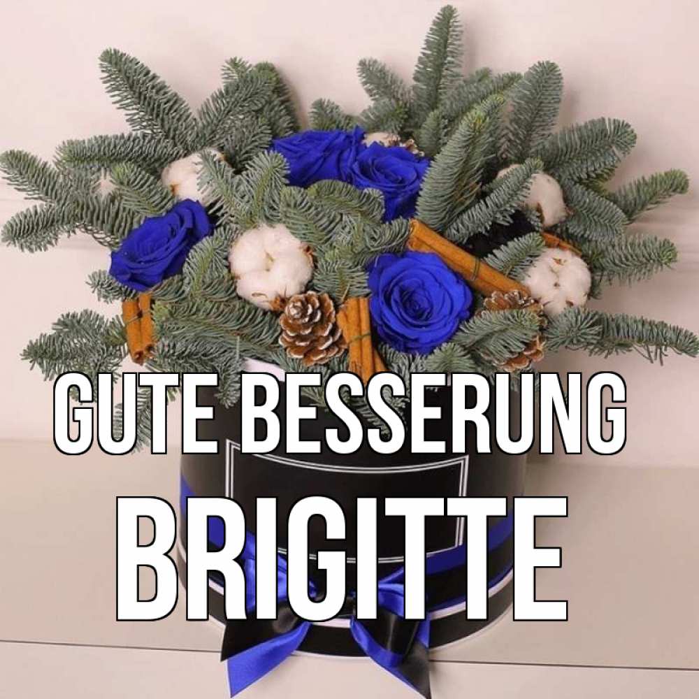 Открытка на каждый день с именем, Brigitte Gute Besserung короче кто то загрузил эти шишки Прикольная открытка с пожеланием онлайн скачать бесплатно 